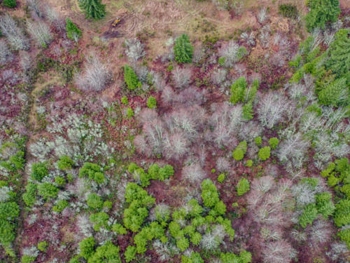 small_8940_Rathbun_Rd_Aerial__13
