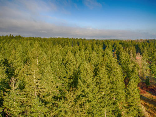 small_8940_Rathbun_Rd_Aerial__5