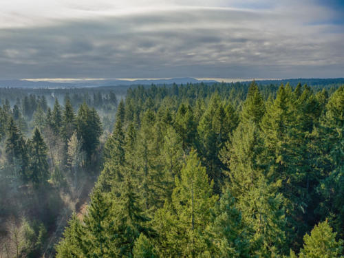 small_8940_Rathbun_Rd_Aerial__6
