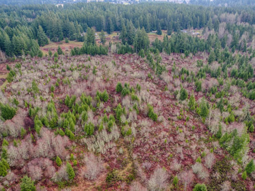 small_8940_Rathbun_Rd_Aerial__9